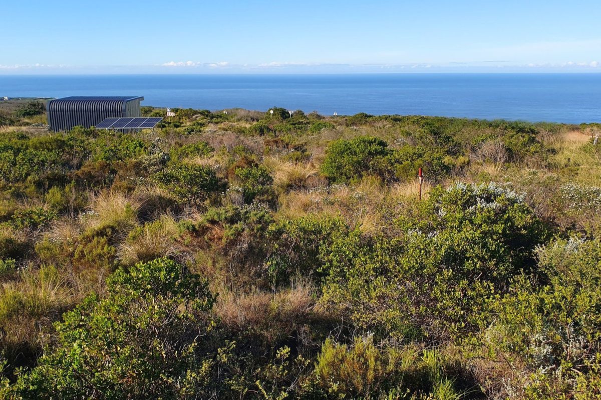 A scenic view of the coastline from the vacant residential land, featuring native vegetation and a small structure with solar panels.