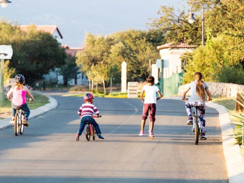 A view of a paved residential street within the estate, featuring established landscaping and street lighting.