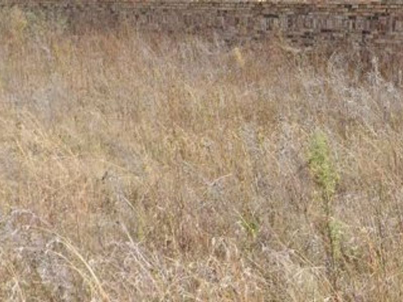 Vacant Land in Stilfontein - Photo 3