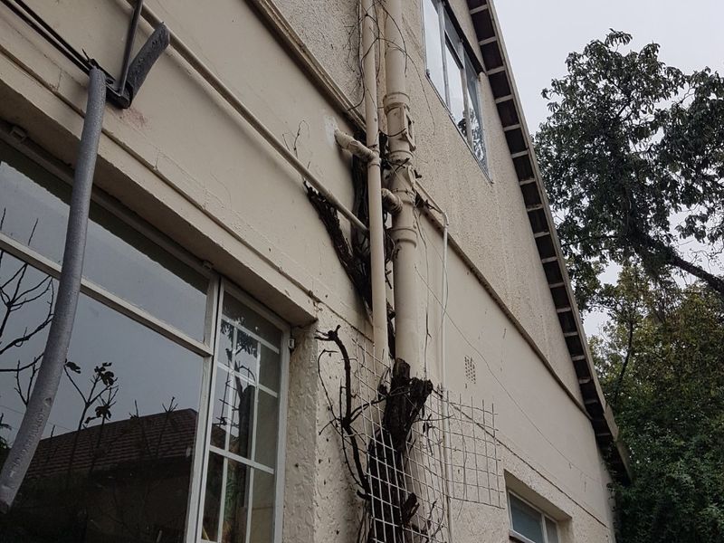 Side elevation of the property showing exterior plumbing, casement windows, and stucco wall finish with visible vegetation growth and maintenance requirements.