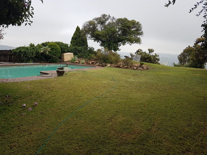 A spacious backyard featuring a swimming pool with brick coping, surrounded by a well-maintained lawn and established garden landscaping.