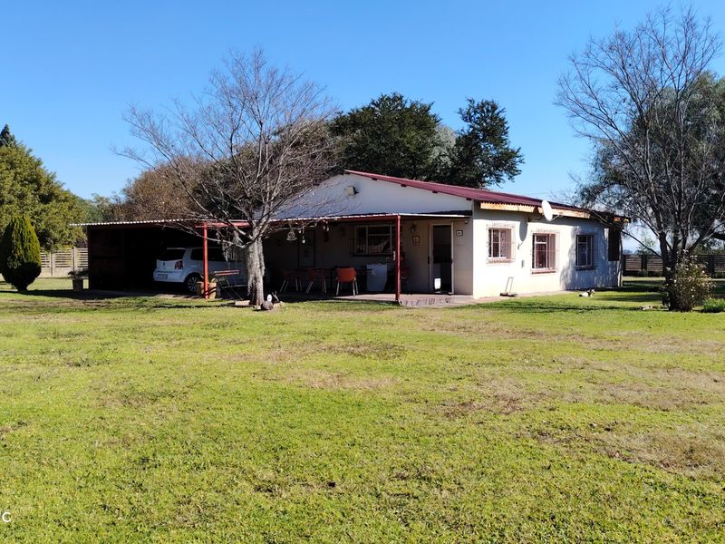 Versatile 2.2ha Smallholding with 2 Homes, 3 Flatlets & Farming Potential in Nelsonia - Photo 5