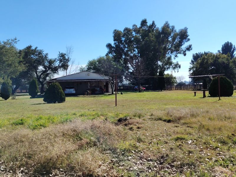 Versatile 2.2ha Smallholding with 2 Homes, 3 Flatlets & Farming Potential in Nelsonia - Photo 7