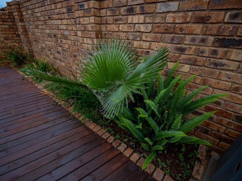 A well-maintained garden area featuring a brick boundary wall, timber decking, and a neat brick-edged garden bed with established plants.