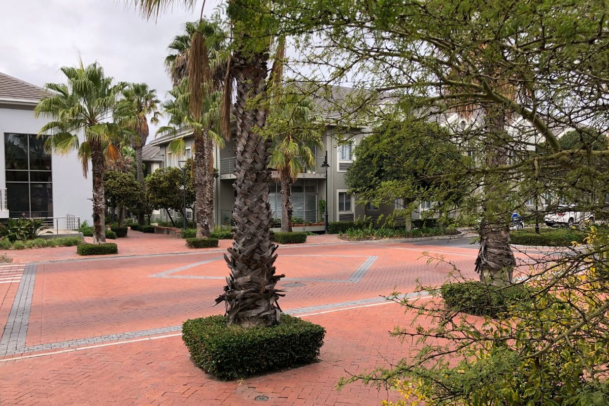 A well-maintained commercial courtyard featuring paved walkways, mature palm trees, and landscaped garden beds surrounding a multi-story office building with balconies.