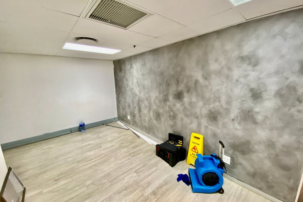 An empty office space featuring a textured grey feature wall, suspended ceiling with recessed lighting, and light wood-look laminate flooring.