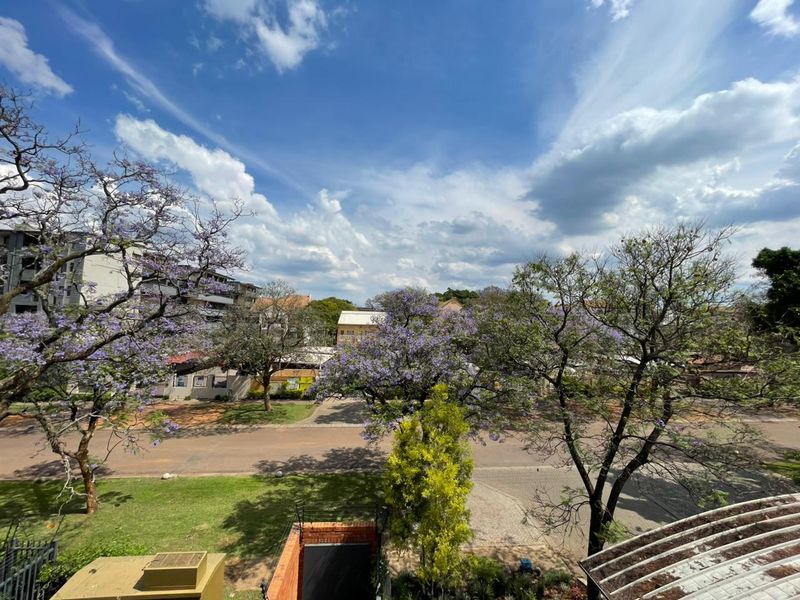 A scenic elevated view overlooking a quiet suburban street with mature jacaranda trees and surrounding residential buildings.