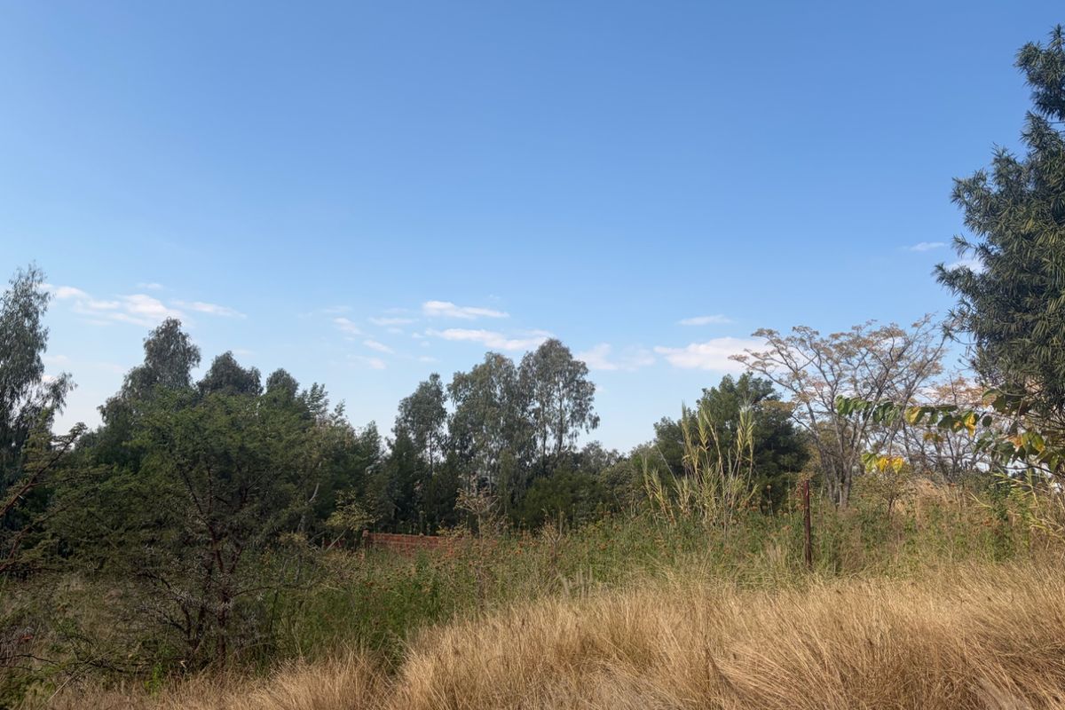 1615 m2 FULL TITLE Vacant Stand in Waterkloof Heights  - Photo 5