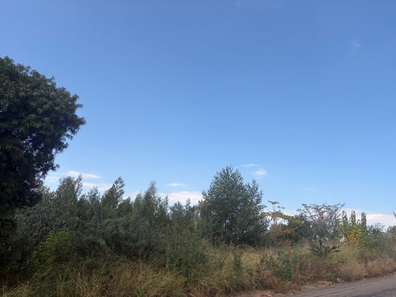 1615 m2 FULL TITLE Vacant Stand in Waterkloof Heights  - Photo 10