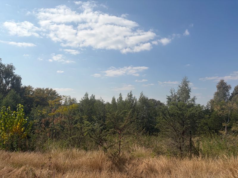 1615 m2 FULL TITLE Vacant Stand in Waterkloof Heights  - Photo 8