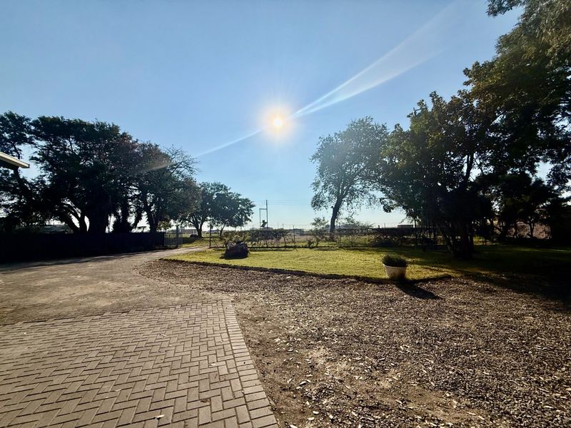 A view of the rear exterior area featuring a paved driveway, open lawn space, and mature trees under a clear sky.