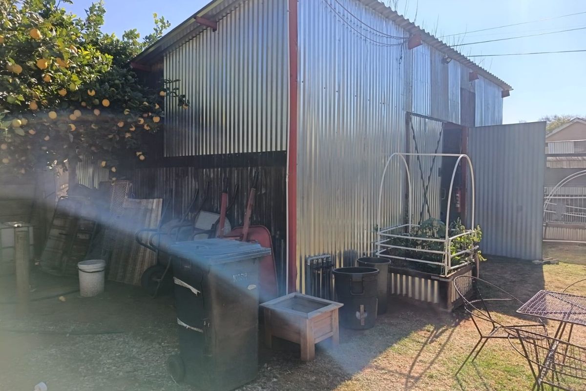 A rear view of a corrugated metal shed structure situated in a garden area with mature fruit trees.