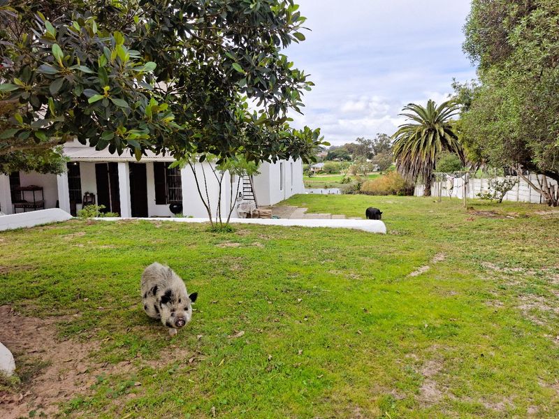 Victorian Riverfront Smallholding – A Rare Find - Photo 10