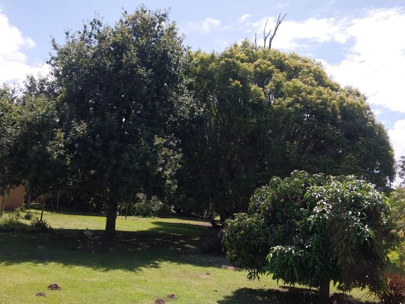 A spacious garden area featuring established mature trees and a well-maintained lawn.