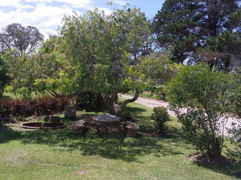 A spacious, well-maintained garden area featuring mature trees, established landscaping, and stone seating, providing a peaceful outdoor environment.