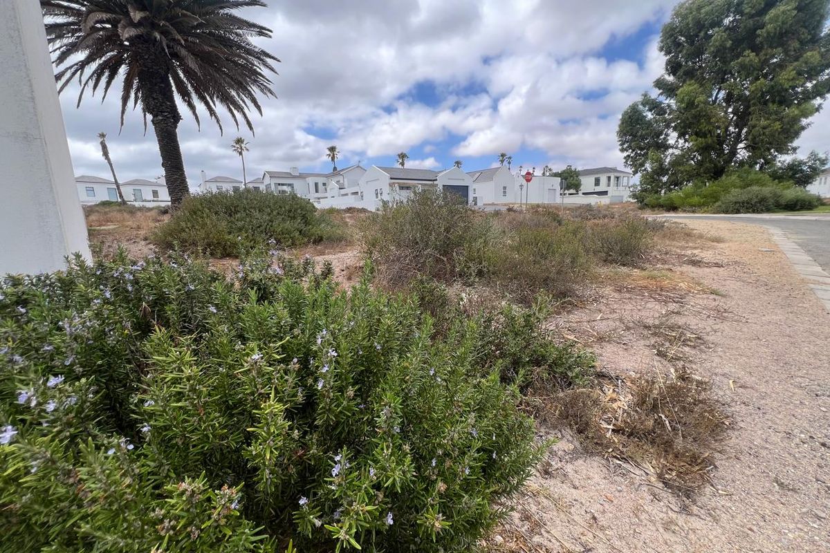 A view of a vacant residential plot featuring established vegetation and direct access to a paved street in a developed neighbourhood.
