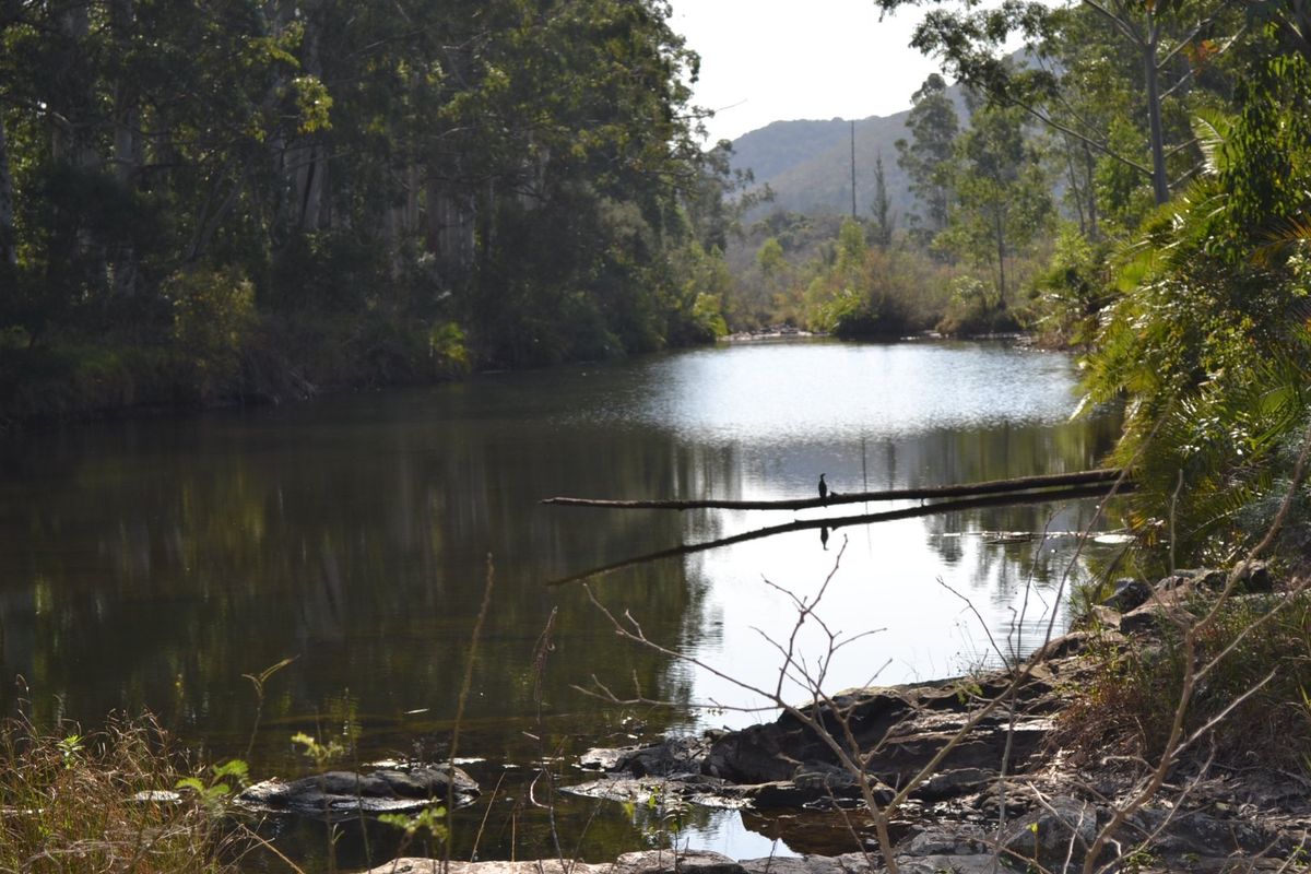 INVESTMENT OPPORTUNITY OF A LIFETIME! - Photo 3
