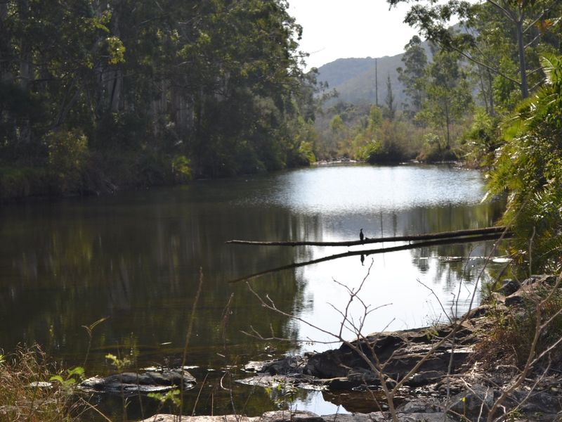 INVESTMENT OPPORTUNITY OF A LIFETIME! - Photo 3
