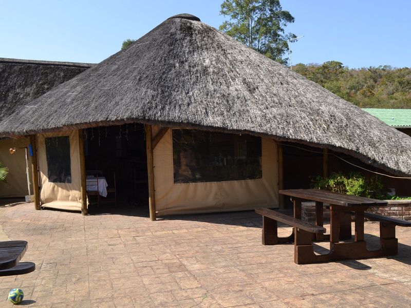 INVESTMENT OPPORTUNITY OF A LIFETIME! - Photo 4