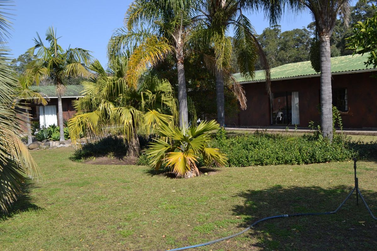 A view of the rear garden area featuring established palm trees, lawn, and the rear facade of the farm dwelling with a metal roof.