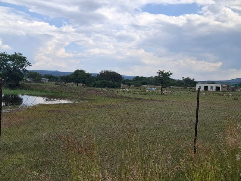 Farm in Myngenoegen polokwane - Photo 2