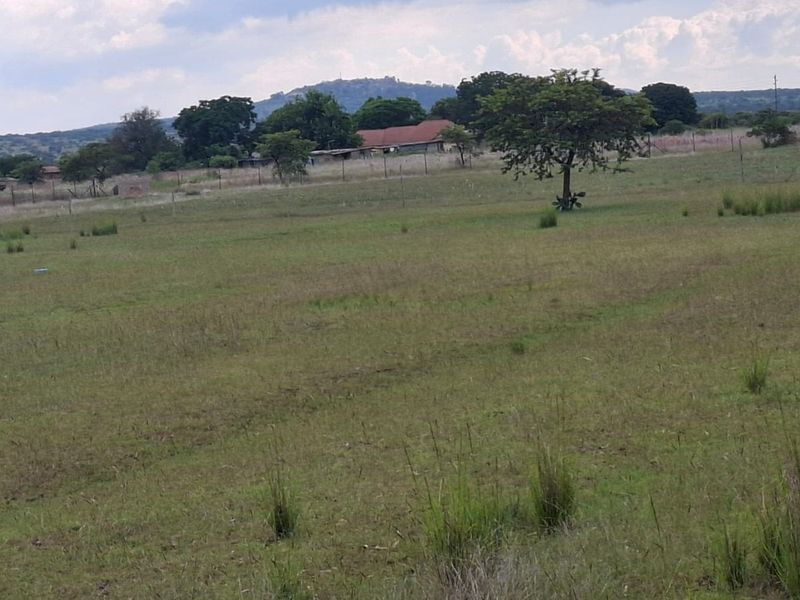 Farm in Myngenoegen polokwane - Photo 6