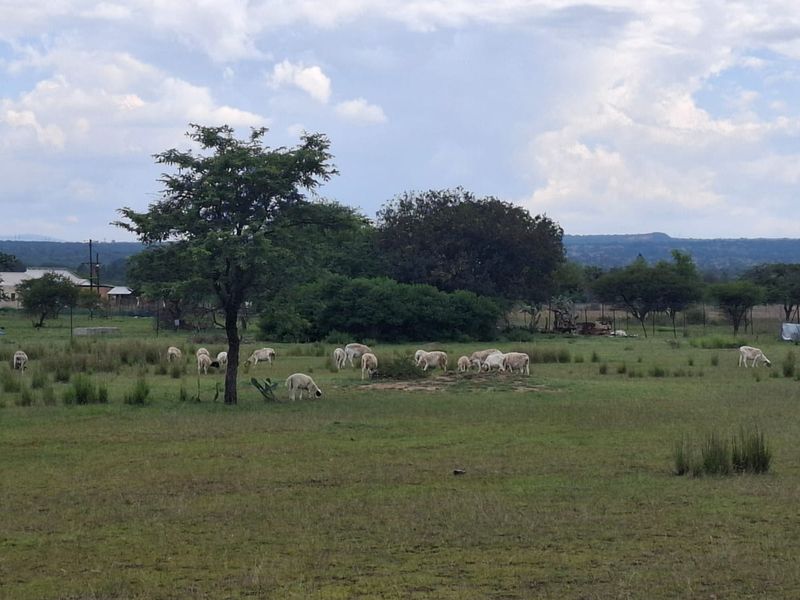 Farm in Myngenoegen polokwane - Photo 1