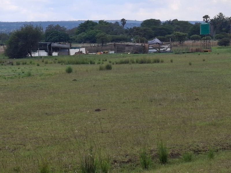 Farm in Myngenoegen polokwane - Photo 5