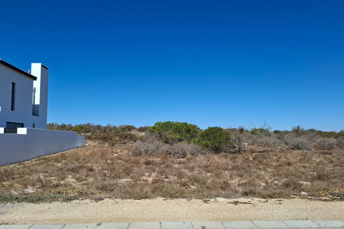 A view of a vacant residential plot featuring natural vegetation and an adjacent modern boundary wall.