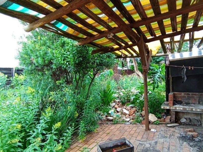 Outdoor patio area featuring a timber pergola and a built-in brick braai, set within an overgrown garden space.