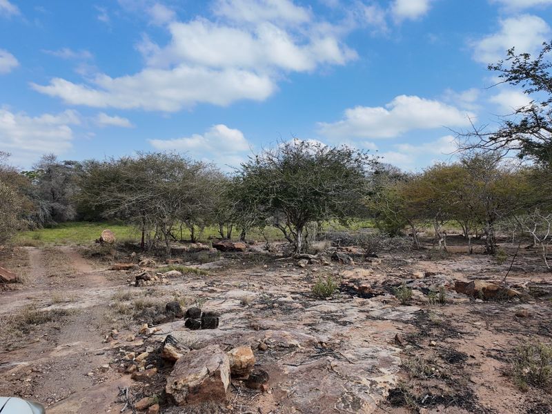 60 hectares Gamre Farm with 10 hectares Magol River Irrigation - Photo 8