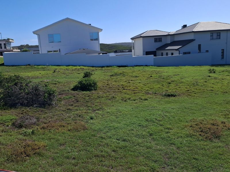 A view of a vacant residential plot featuring a grass lawn and a boundary wall, with neighboring houses visible in the background.