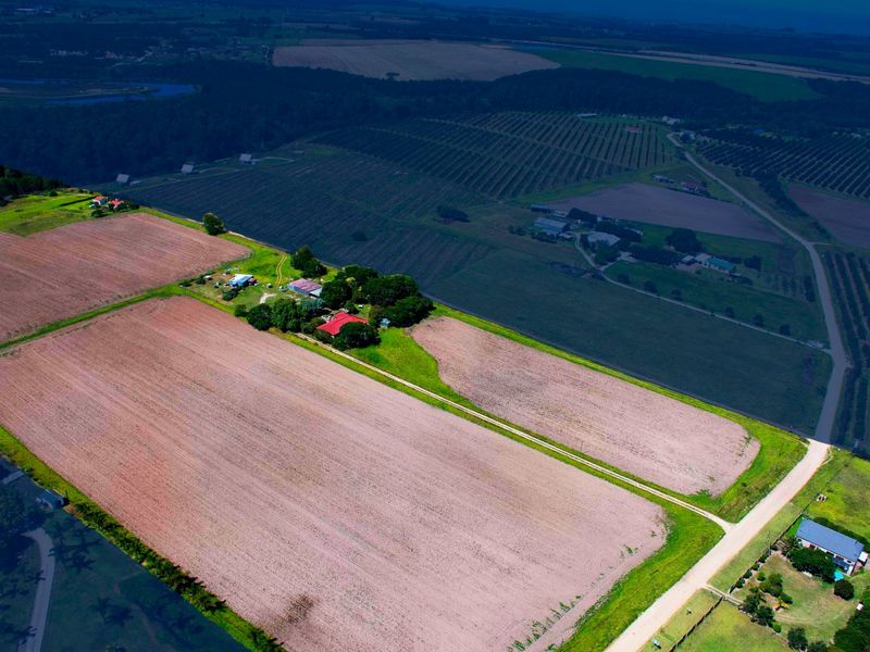 Location, Location, Location - Farm For Sale George  - Photo 2