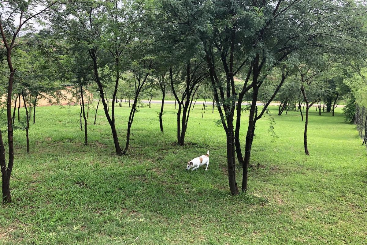 VACANT LAND IN ECO ESTATE READY TO DEVELOP - Photo 4