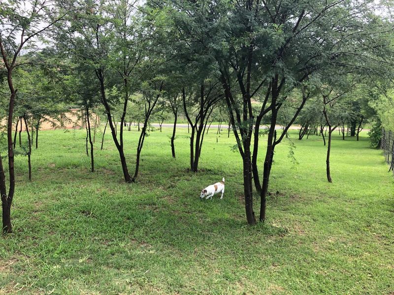 VACANT LAND IN ECO ESTATE READY TO DEVELOP - Photo 4