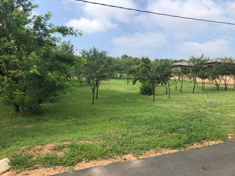 VACANT LAND IN ECO ESTATE READY TO DEVELOP - Photo 5