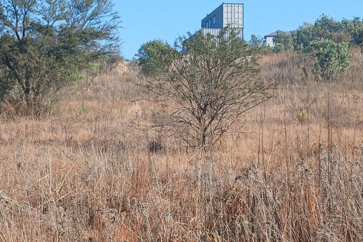VACANT LAND VAALOEWER - READY TO DEVELOP - Photo 2