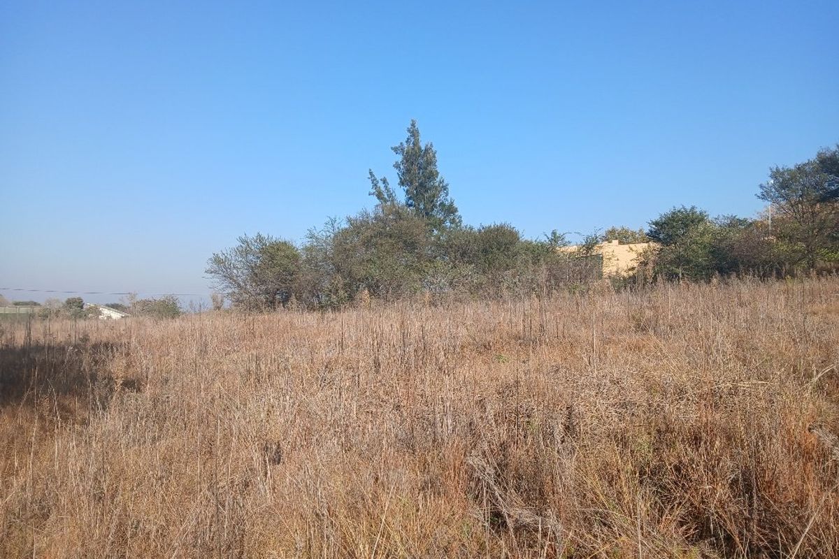 VACANT LAND VAALOEWER - READY TO DEVELOP - Photo 3