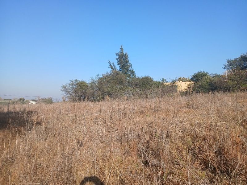 VACANT LAND VAALOEWER - READY TO DEVELOP - Photo 3