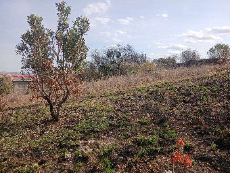 A view of a sloped residential plot featuring native vegetation and signs of recent fire damage to the landscape.