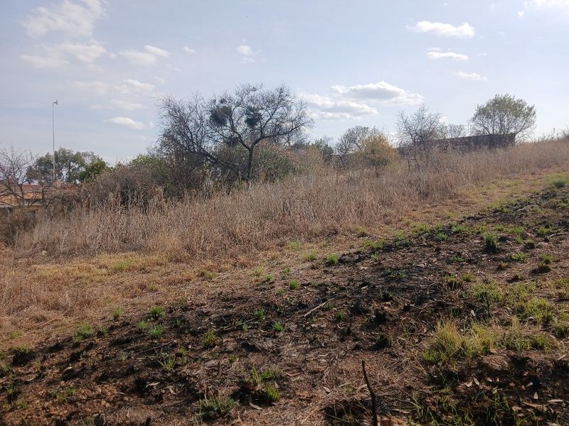 A view of an undeveloped residential plot featuring natural vegetation and dry grass, suitable for future construction.