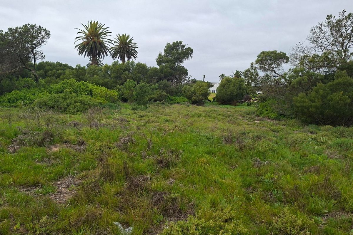 A large, undeveloped plot of land featuring natural vegetation and mature trees, offering a blank canvas for potential landscaping or development.