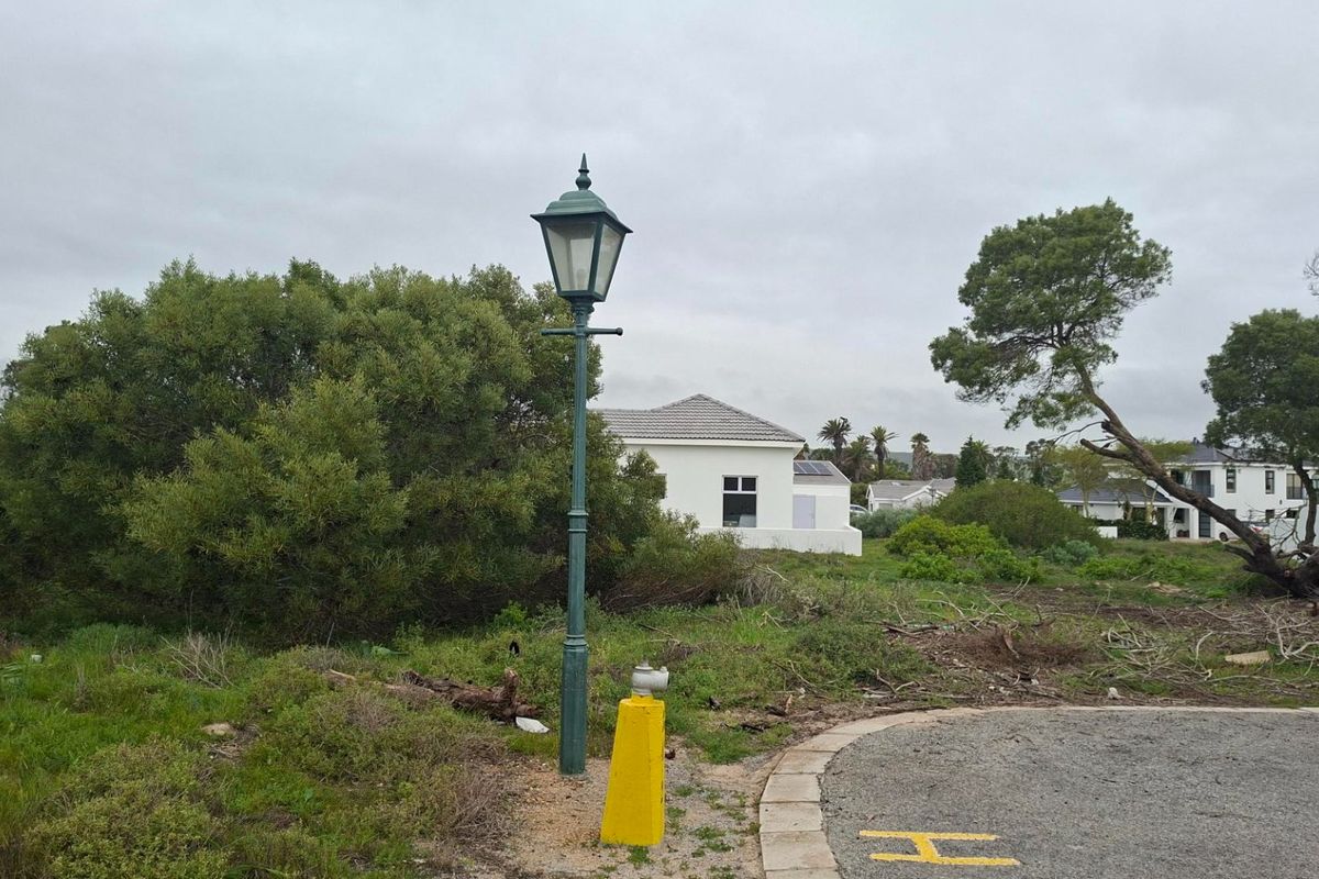 A street-level view showing a residential neighborhood approach with a street lamp, fire hydrant, and surrounding landscaped grounds.