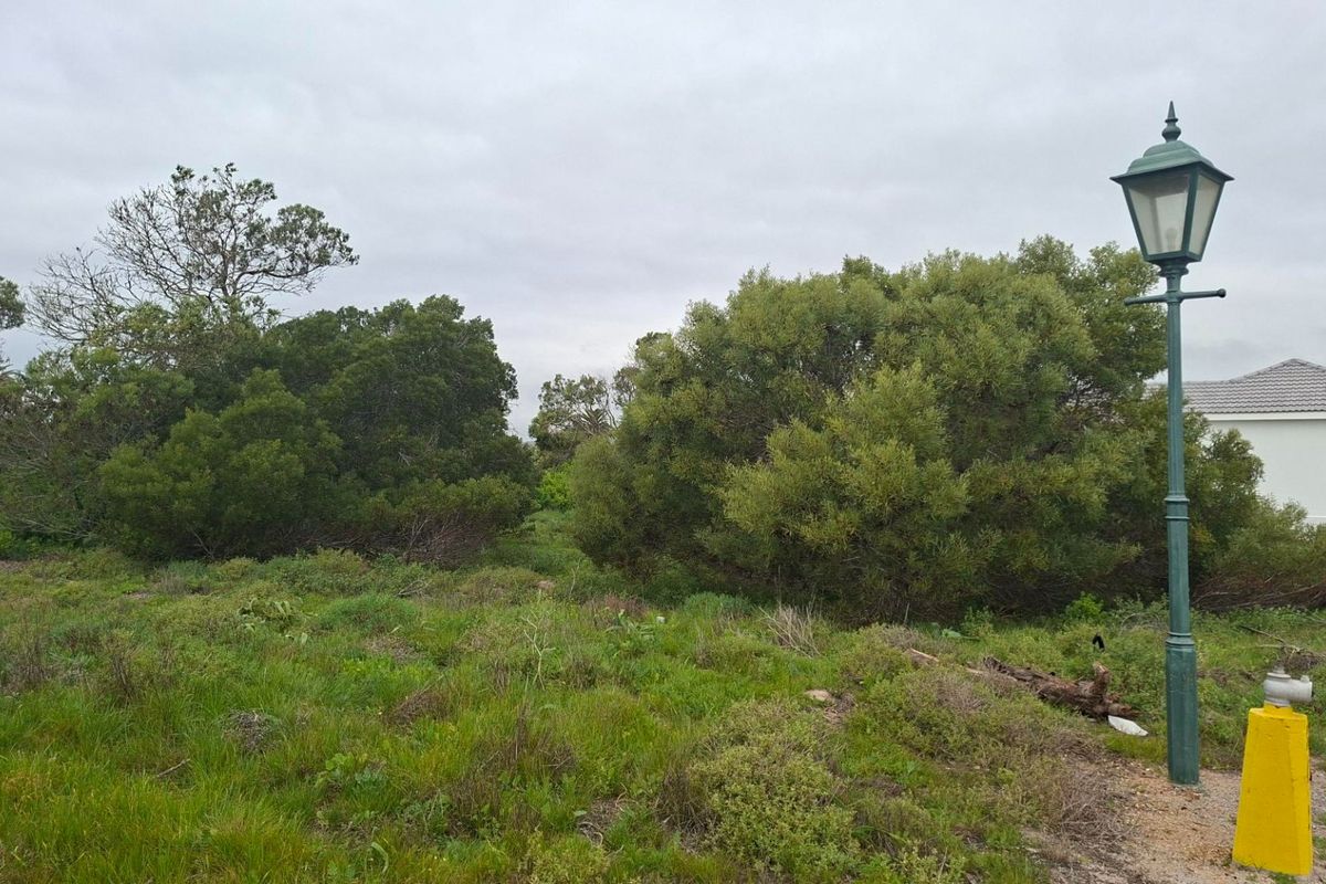 A view of a natural garden area featuring established trees, shrubs, and a decorative street lamp.