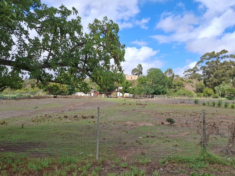 Commercial vacant land with excellent location - Photo 6