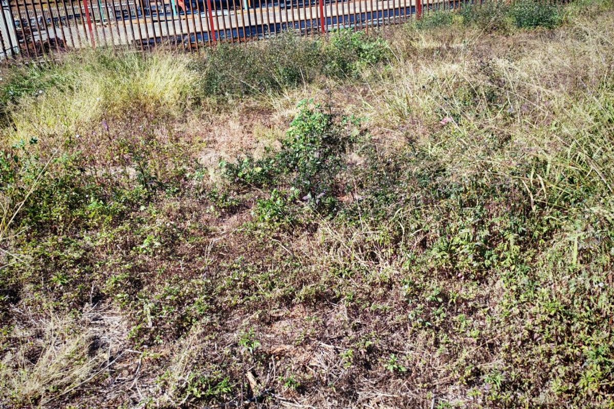 Vacant Industrial Land For Sale in Magna Via - Photo 3