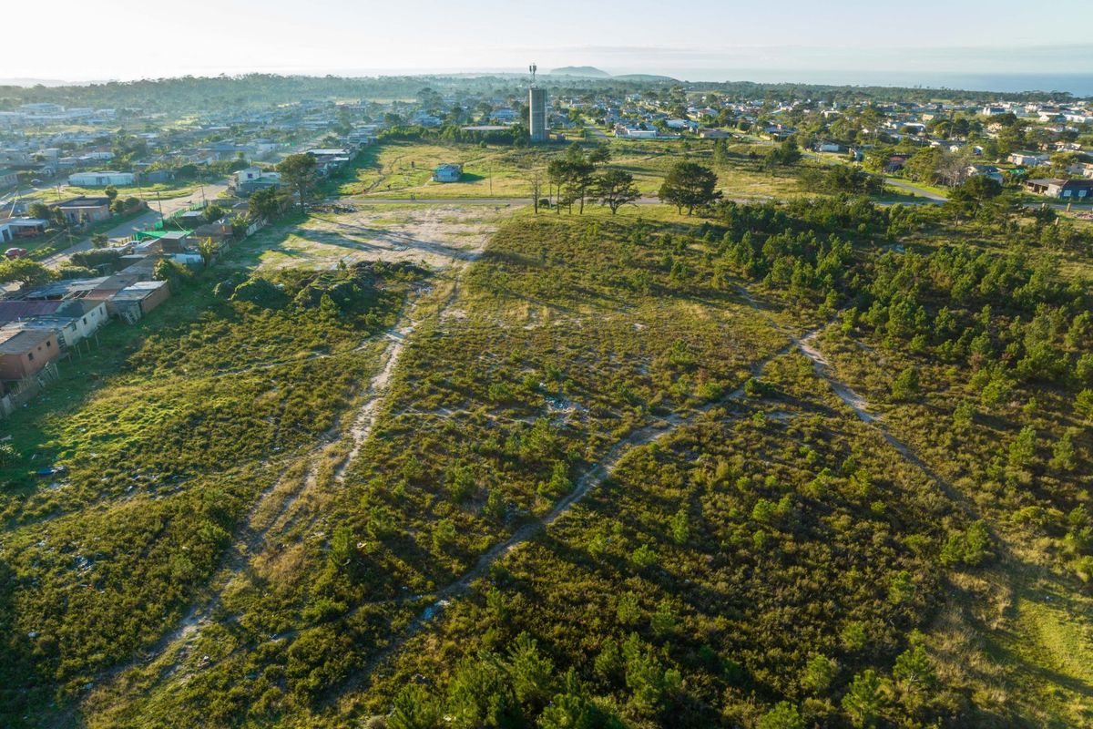 Views, Space and Opportunity in One Exceptional Property - Photo 4