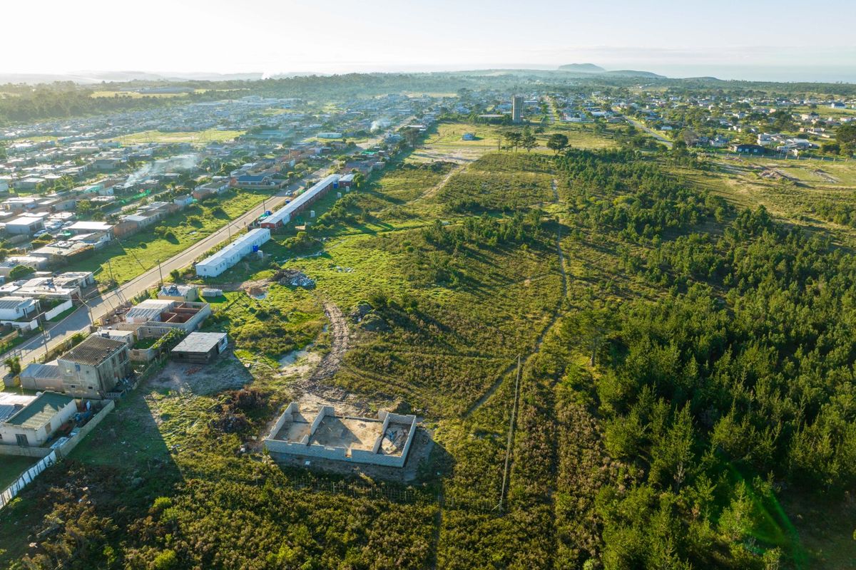 Views, Space and Opportunity in One Exceptional Property - Photo 3