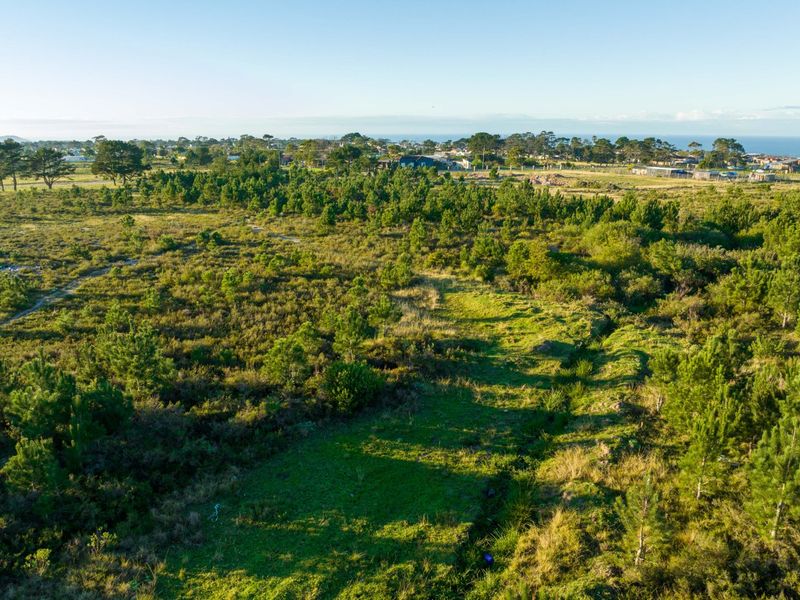 Views, Space and Opportunity in One Exceptional Property - Photo 10