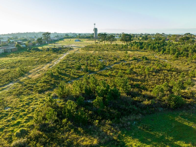 Views, Space and Opportunity in One Exceptional Property - Photo 9
